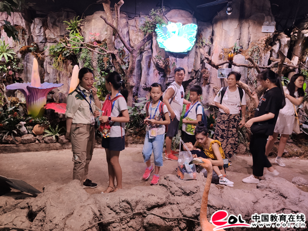 8月23日,我们中国教育在线小记者探秘,采访了正佳广场七楼的热带雨林