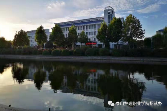 泰山护理职业学院2021年高职(专科) 单独招生和综合评价招生章程