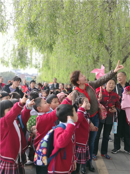 顺城街幼儿园春游活动简讯