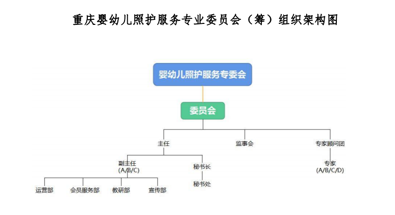 重庆市继续教育学会婴幼儿照护服务专业委员会