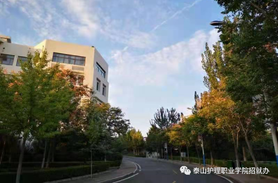 泰山护理职业学院2021年高职(专科 单独招生和综合评价招生章程