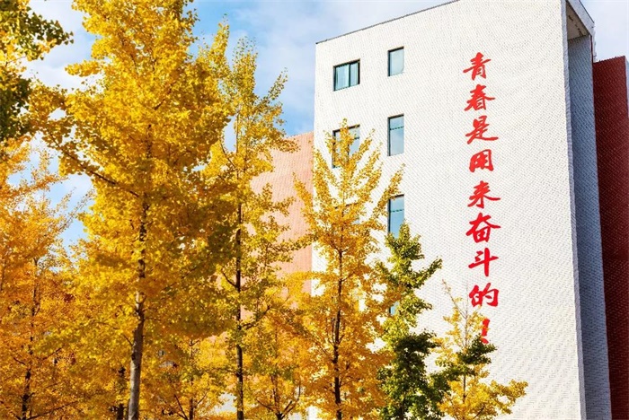 滨州学院专业分数线及学费_滨州学院2020分数线是多少_滨州职业学院分数线