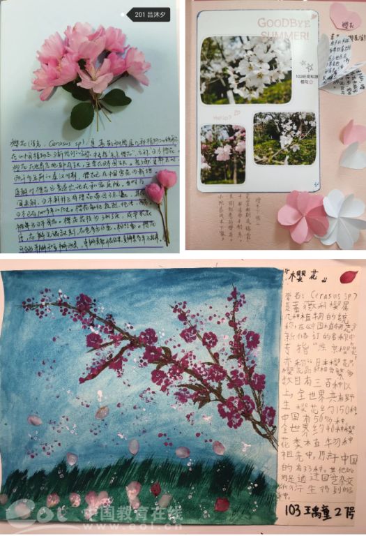 分站 浙江教育资讯 孩子们拿起笔写一写关于樱花的诗文,以文字记录