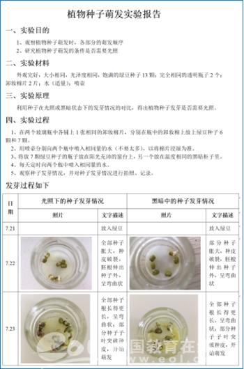 绿豆芽实验报告图片图片